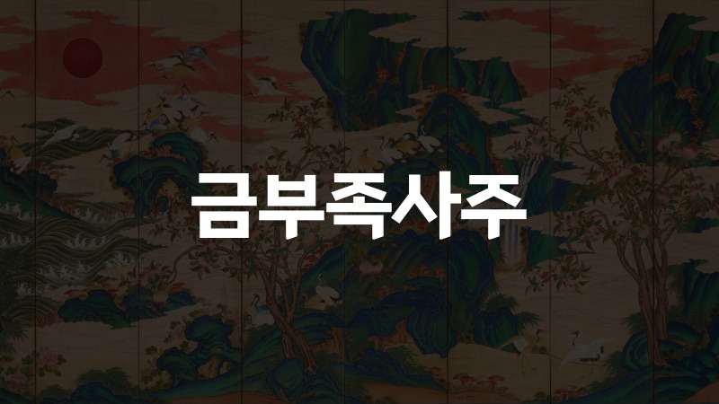 금부족사주