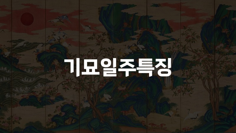 기묘일주특징