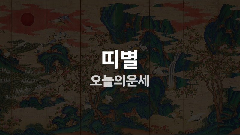 띠별 오늘의운세