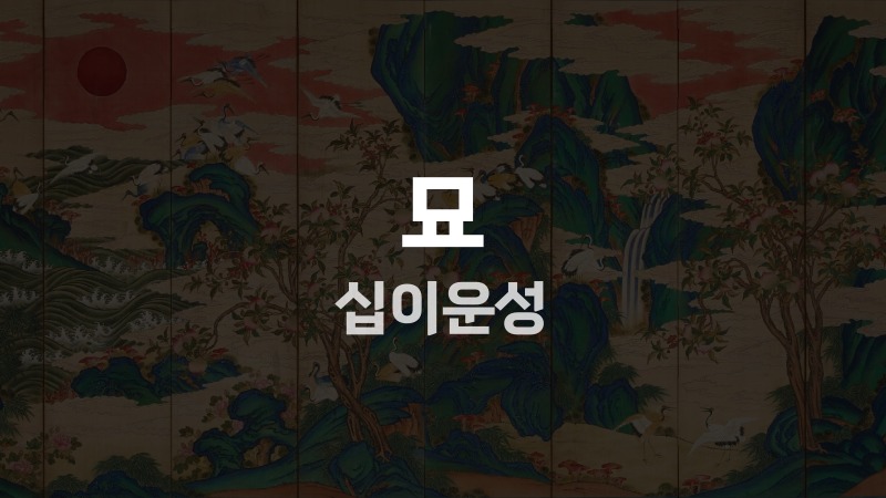 묘 십이운성