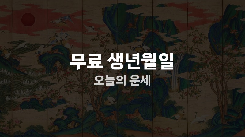 무료 생년월일 오늘의 운세