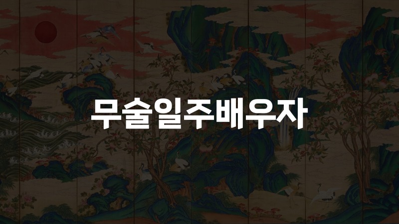 무술일주배우자