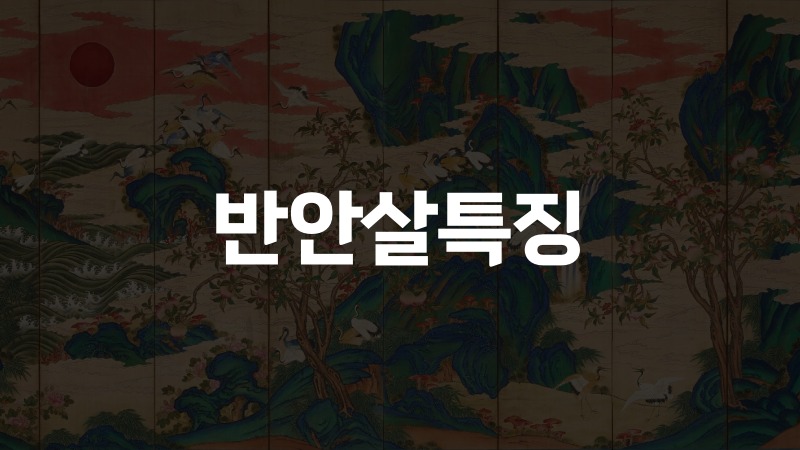 반안살특징