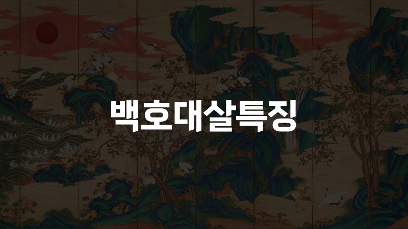 백호대살특징