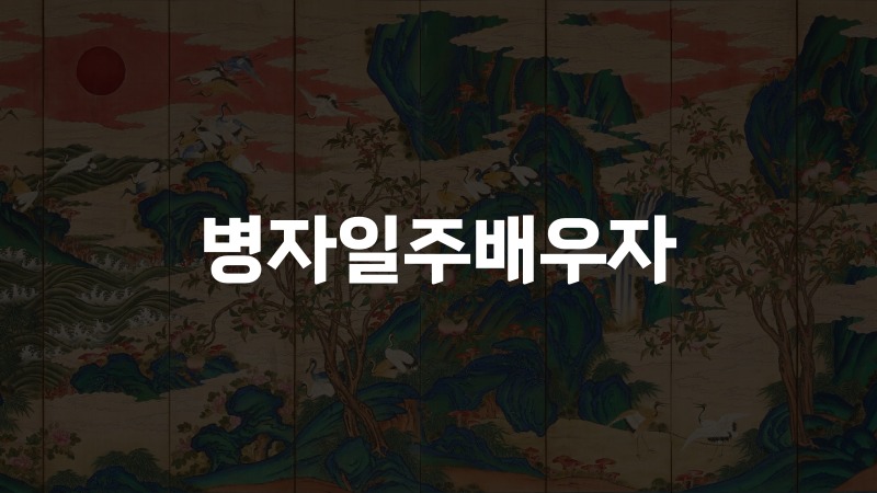 병자일주배우자