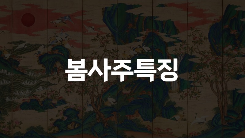봄사주특징