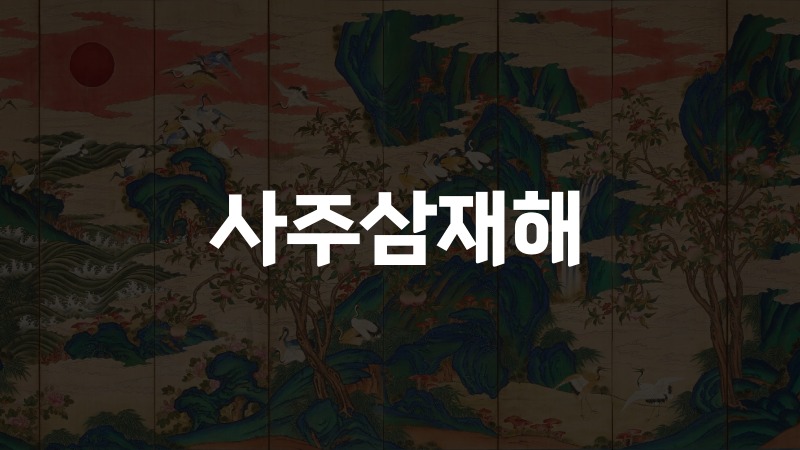 사주삼재해