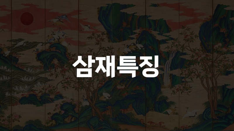 삼재특징