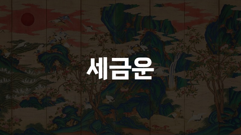 세금운