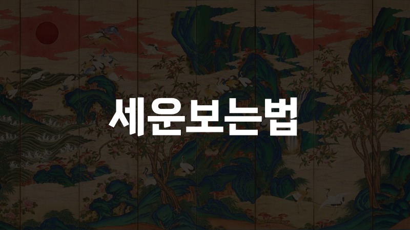 세운보는법