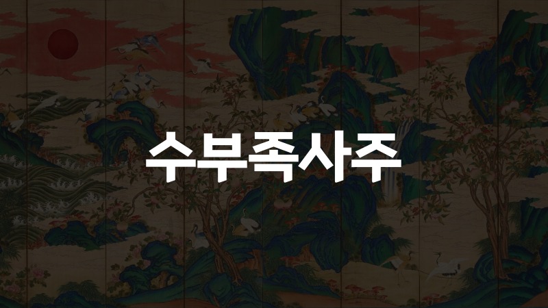 수부족사주