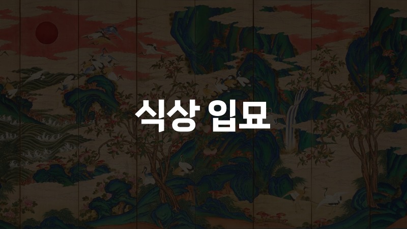 식상 입묘