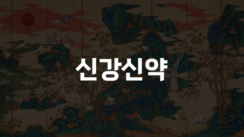신강신약