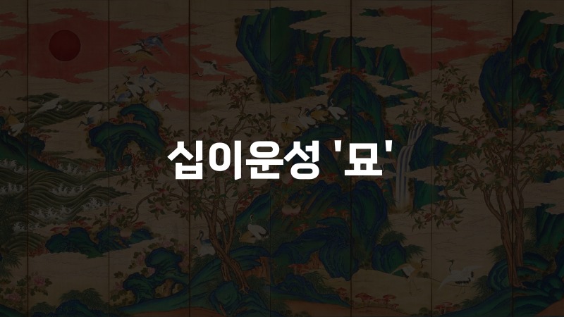 십이운성 묘