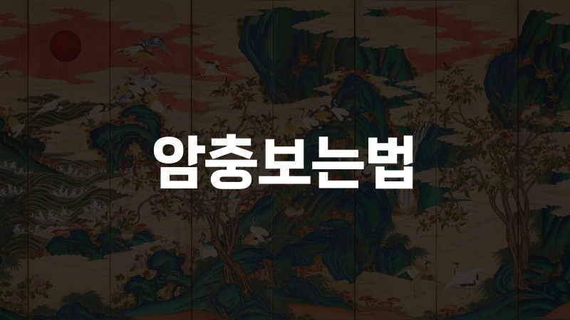 암충보는법