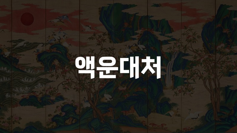 액운대처