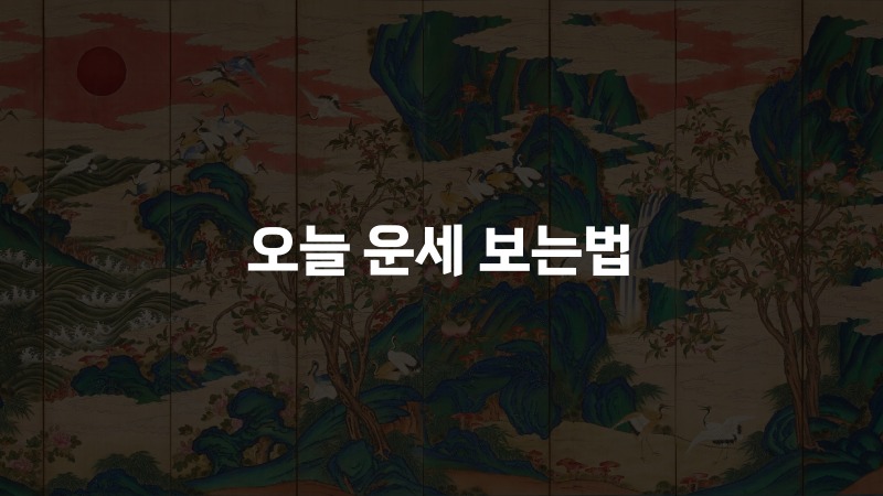 오늘 운세 보는법