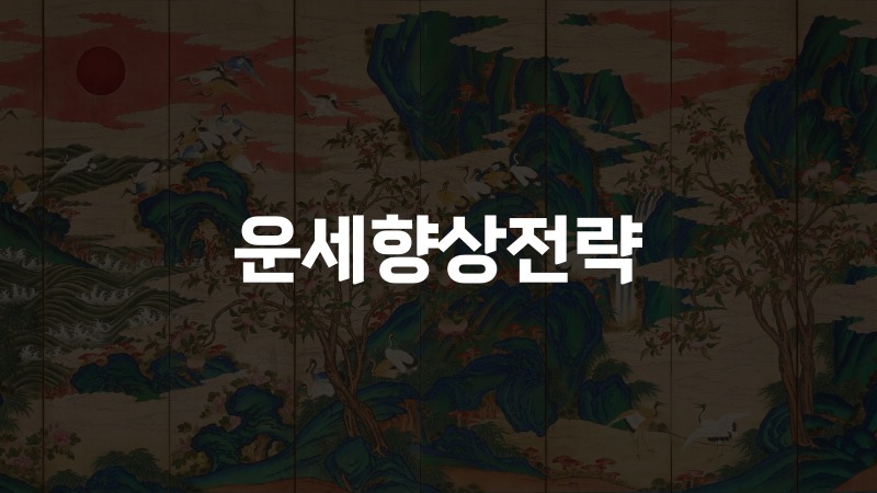 운세향상전략