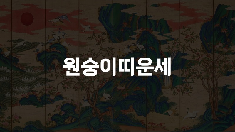 원숭이띠운세
