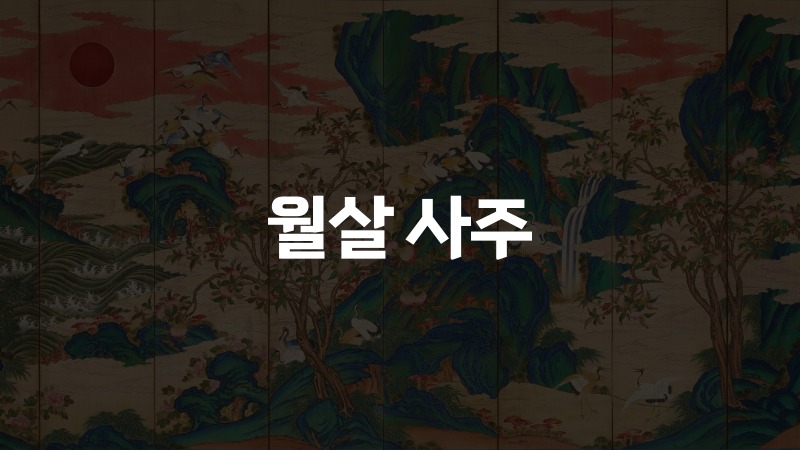 월살 사주