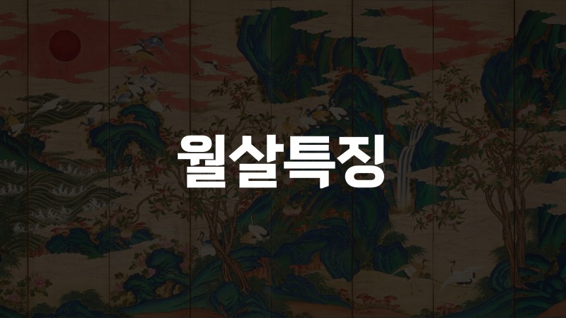 월살특징