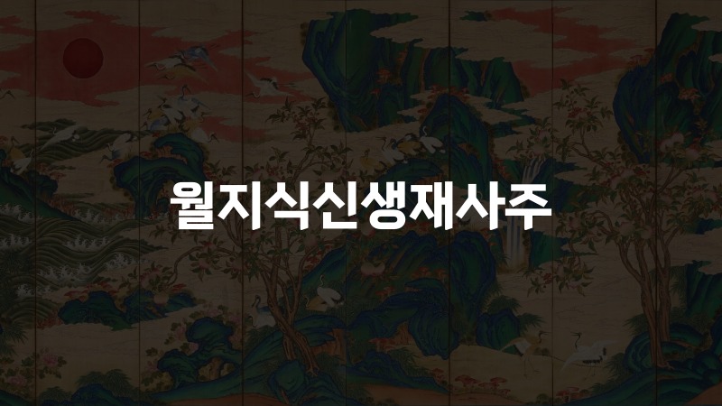월지식신생재사주