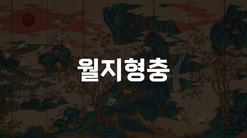 월지형충