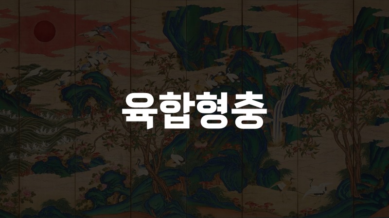 육합형충
