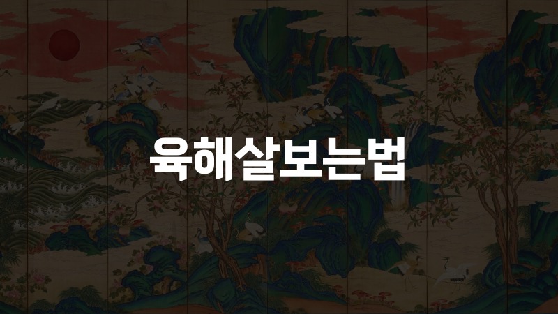육해살보는법