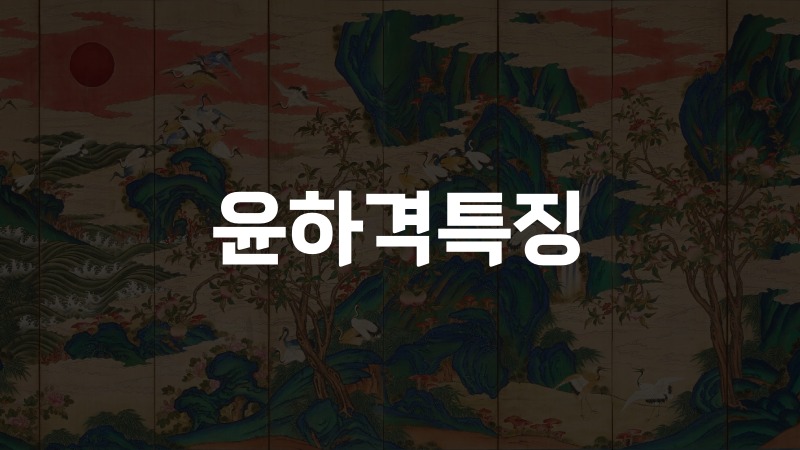윤하격특징