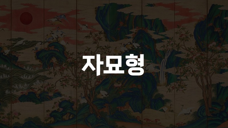 자묘형