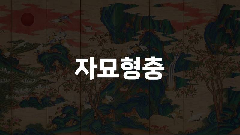 자묘형충