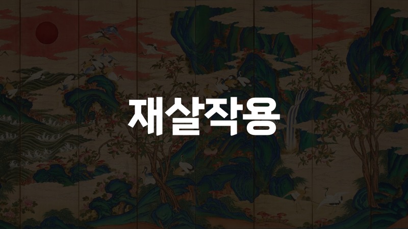 재살작용
