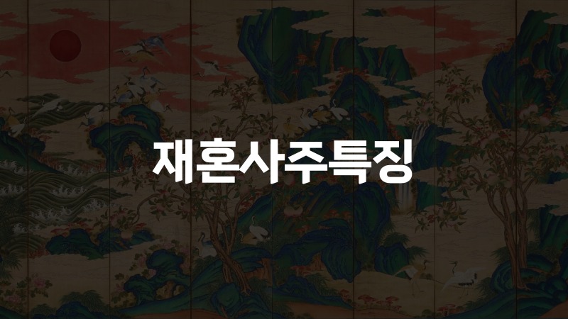 재혼사주특징