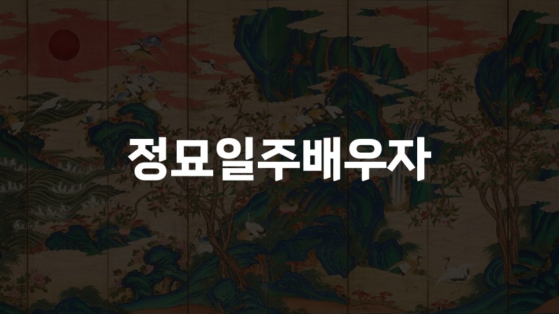 정묘일주배우자