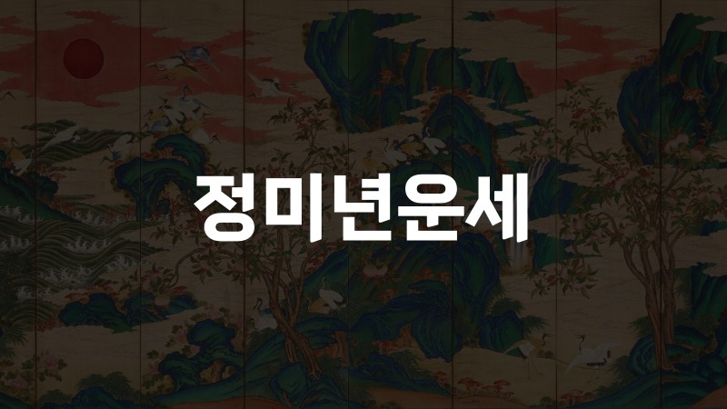 정미년운세