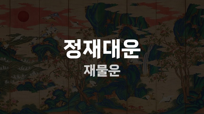 정재대운 재물운