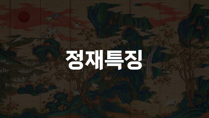 정재특징