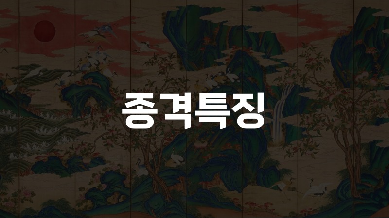 종격특징