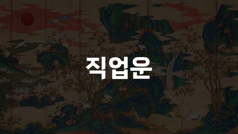 직업운