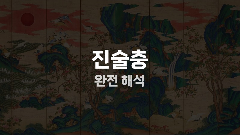 진술충 완전 해석