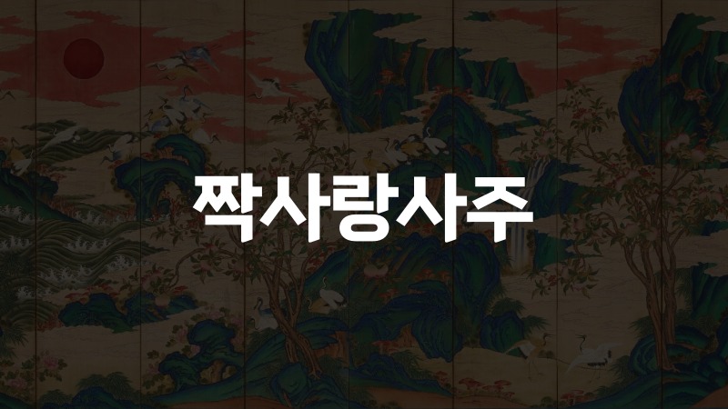 짝사랑사주