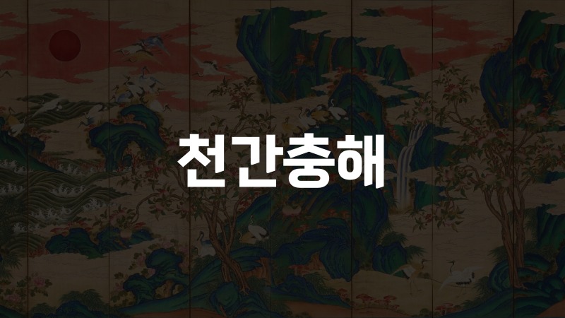천간충해