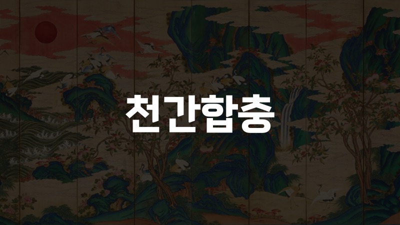 천간합충