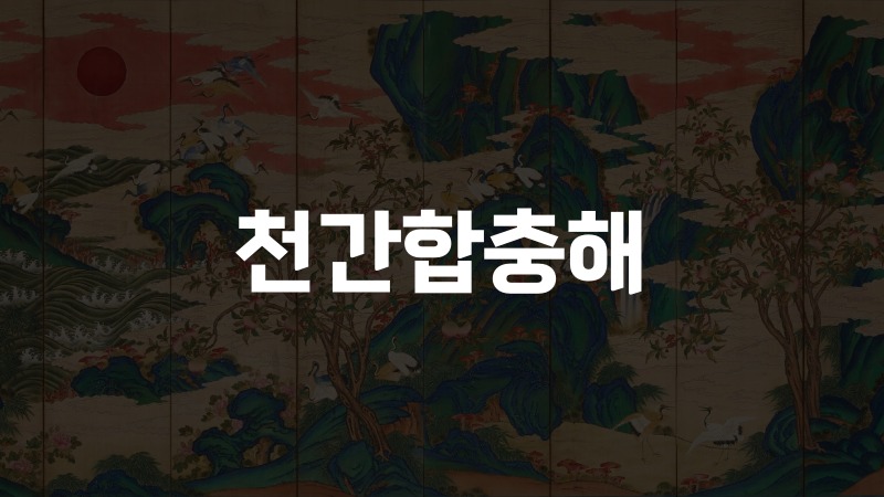 천간합충해