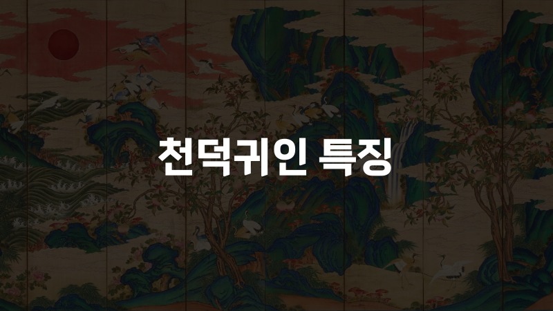 천덕귀인 특징 2