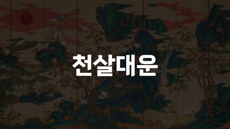 천살대운