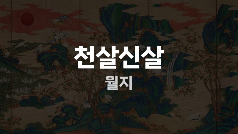 천살신살 월지