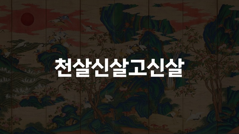 천살신살고신살