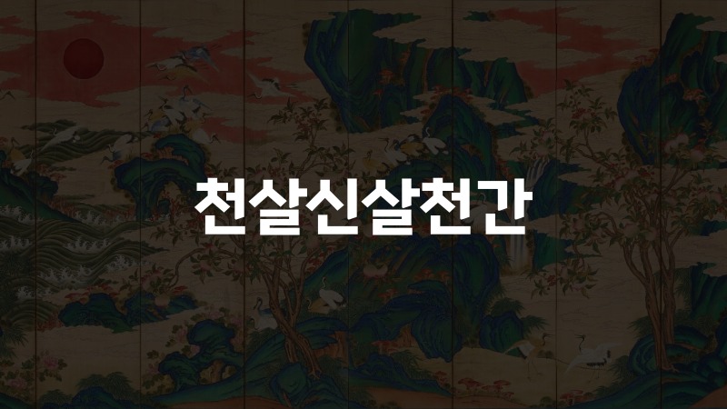 천살신살천간